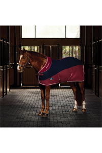 2025 WeatherBeeta Thermo-Air Cooler Standard Neck 1018925 - Burgundy
